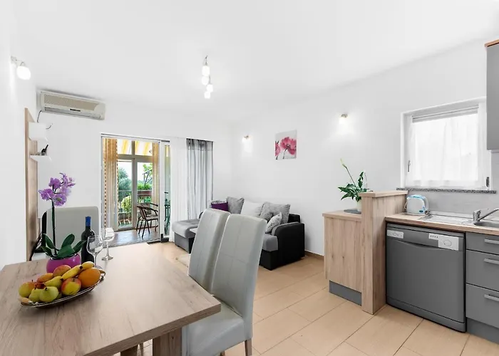 Apartman Beakovic Radosi A4