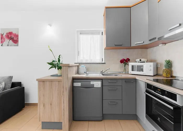 Apartman Beakovic Radosi A4 Porec